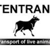 logo.jpg