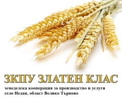 ЗКПУ ЗЛАТЕН КЛАС &ndash; НЕДАН