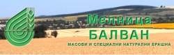 Melnitsa-V.tarnovo