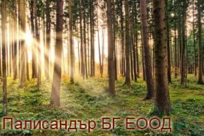 Палисандър-БГ ЕООД - палети и пчелни продукти