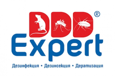 ДДД Експерт Русе ООД