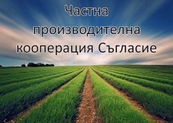 Частна Производителна Кооперация Съгласие - село Малорад