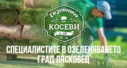 Екзотика Косеви ООД &ndash; Озеленяване град Лясковец