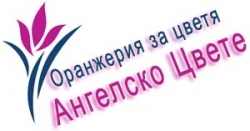 Ангелско Цвете- Оранжерия за цветя Велико Търново