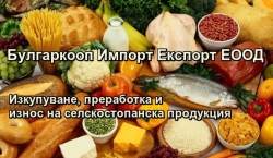 Булгаркооп Импорт Експорт ЕООД